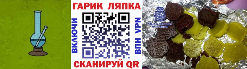 ГАШ Premium  Пудож 