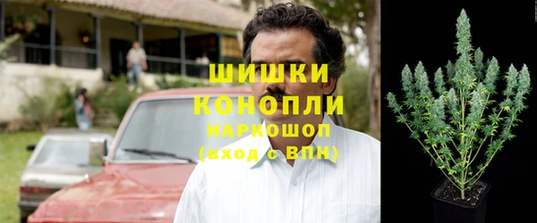 трава Арсеньев