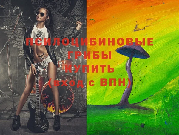 бошки Армянск