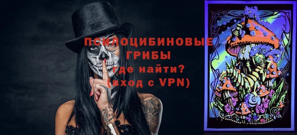 трава Арсеньев