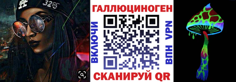 закладки  Пудож  Галлюциногенные грибы Psilocybine cubensis 